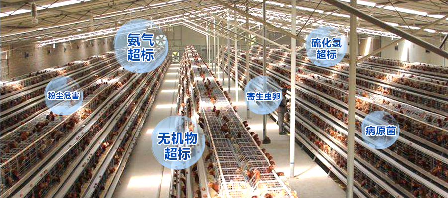 畜禽养殖场除臭解决方案